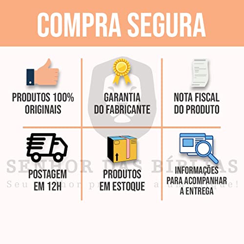 Bíblia de estudo King James atualizada ‐ vintage