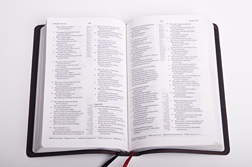 CSB Ultrathin Reference Bible, Black Premium Leather