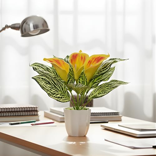 Image of fancymart Artificial Calla Lily Plant with Pot - 30 cm Height Decorative Flower Leaves (Pack of 1) | Realistic Faux Plant for Home & Office Decor | Table, Shelf & Desk Decoration