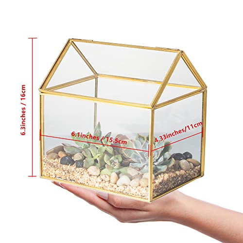 Ncyp Small 6.1X6.3X4.33 Inches Handmade Glass Terrarium With Swing Lid, Tabletop Decor Clear Planter, Gold House Shape Flower Pot For Plants Succulents, Diy Centerpiece (No Plants) #TOP3