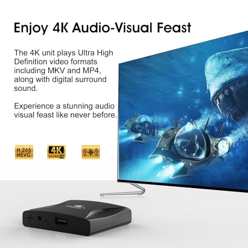 ZUMKUNM 4K Ultra-HD Digital Media Player for USB Drives and MicroSD Cards with 4K HD and Analogy AV, Digital Signage,Automatic Playback,Resume and Looping Capability,H.265 Videos Music Photos...