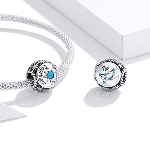 Image of 12 Constellation Charms 925 Sterling Silver Crystal Zircon Charms Family and Friends' Birthday Charm Birthstone Charms for Women Bracelets