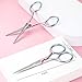 5 Pieces Small Straight Tip Nose Hair Scissor for Grooming, Stainless Steel Multi-Purpose Beauty Grooming Scissor for Facial Hair Removal and Mustache Beard Eyebrow Ear Trimming (Gradient Pink)