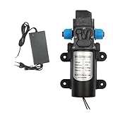 Utilisation polyvalente : du lavage de voiture au jardinage, cette pompe est un outil polyvalent for une large gamme de tâches liées à l'eau.