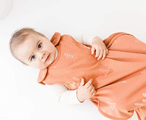 Ecolino Adjustable Toddler Sleep Bag Sack, 100% Organic Cotton Wearable Blanket By Woolino, Universal Sizing: 2-4 Years, Tog 1, Desert #TOP3