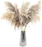 20 piezas de hierba de las pampas grande, 23 pulgadas de alto, decoración de hierba de pampa artificial seca natural, ramo de varillas esponjosas, utilizado para decoración bohemia del hogar, flores