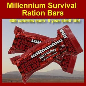 New Millennium Survival & Emergency Ration Food Bar - Raspberry