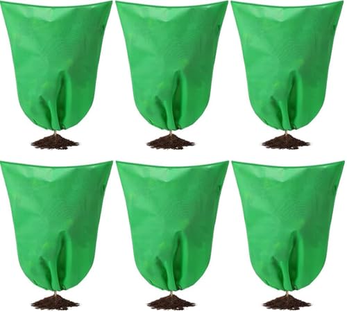 Lostwry Protección de invierno para plantas, 6 piezas 60 x 80 cm Bolsa de protección para plantas en maceta, funda protectora para plantas como árbol, palmeras, plantas de balcón, cúpula, carpa