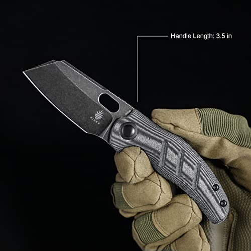 Kizer C01c(Mini) Folding Knife Black Micarta Handle 154CM Steel EDC Knife, Thumb Hole Opener Pocket Knives V3488C6