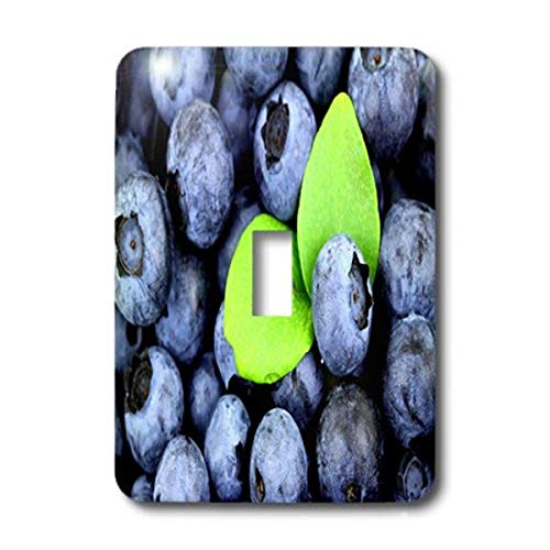 3dRose lsp_15502_1 Blueberry Surprise interruptor de palanca
