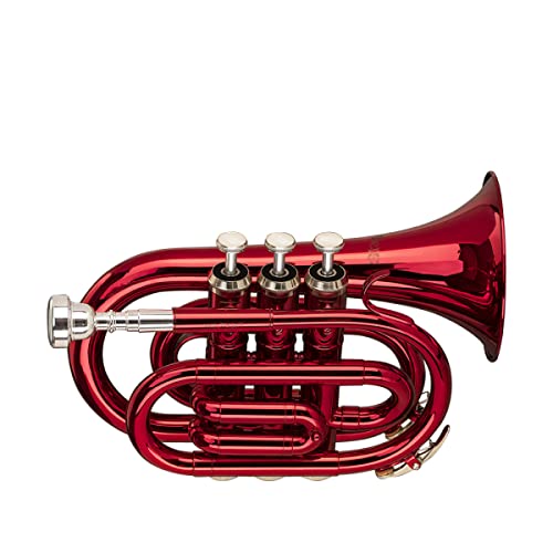 Stagg Pocket Trumpet (Ws-Tr247S Us) #TOP5