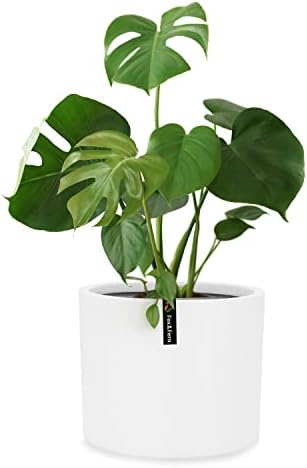Fox & Fern 12 Inch Plant Pot, 12 Inch Pots for Plants, White Planters for Indoor Plants - Fits Mid Century Modern Plant Stand - Drainage Plug and Saucer - Fiberstone - Matte White - 12 Inch Planter