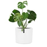 Fox & Fern 12 Inch Plant Pot, 12 Inch Pots for Plants, White Planters for Indoor Plants - Fits Mid C