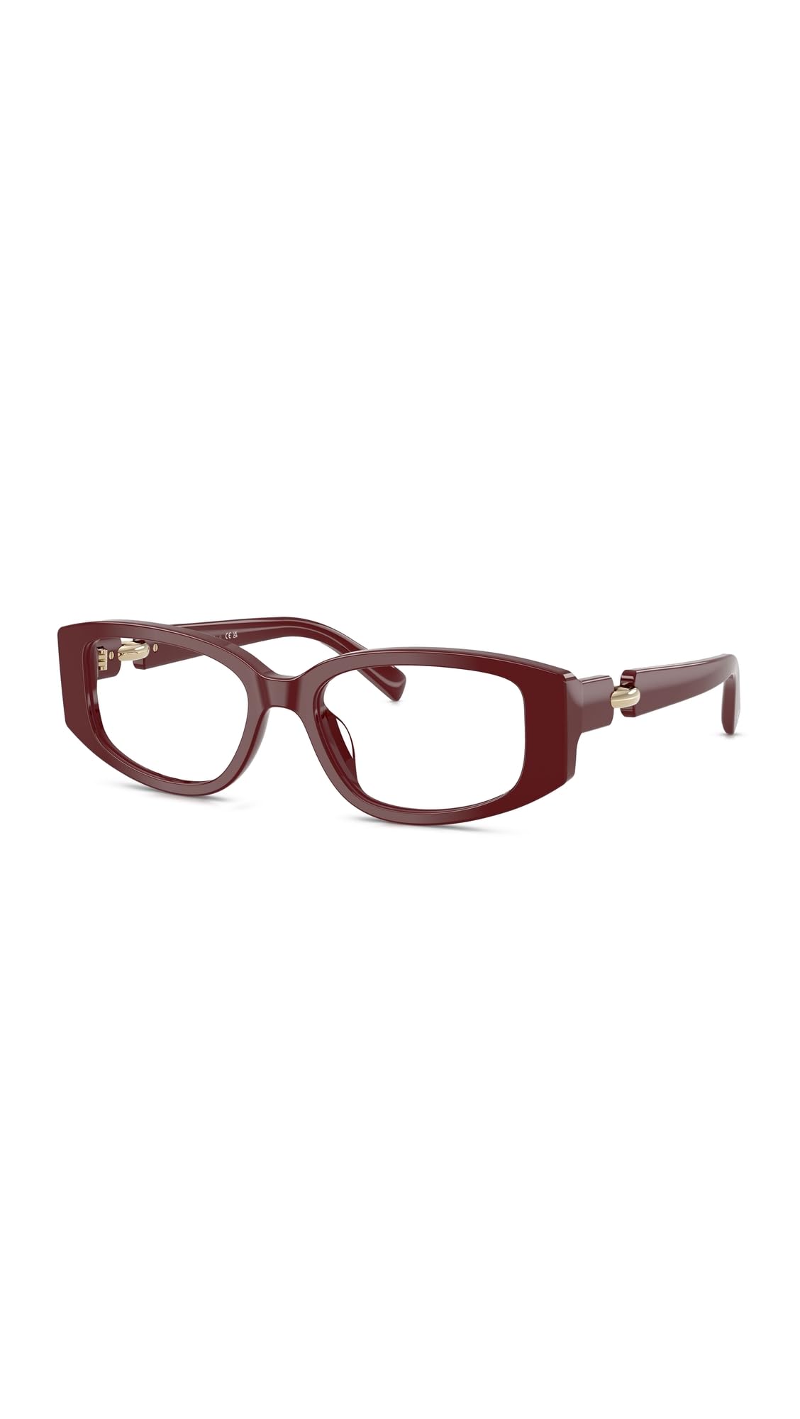 Women's Pierced Rectangle Eyeglasses