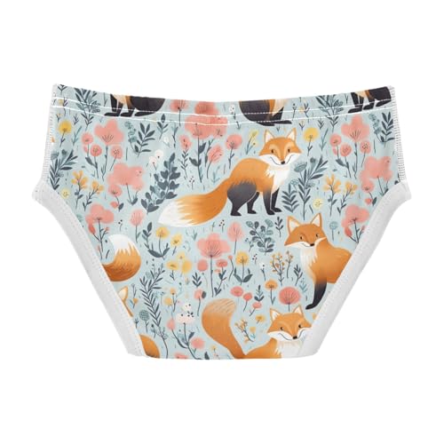 Cute Fox Boys' Briefs Cotton Soft Underwear 208523272