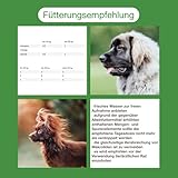 CaniMove Doppelpack enteral akut, 2 x 12 Tabletten zur Gabe bei und nach akuten Durchfällen, für Hunde und Katzen geeignet