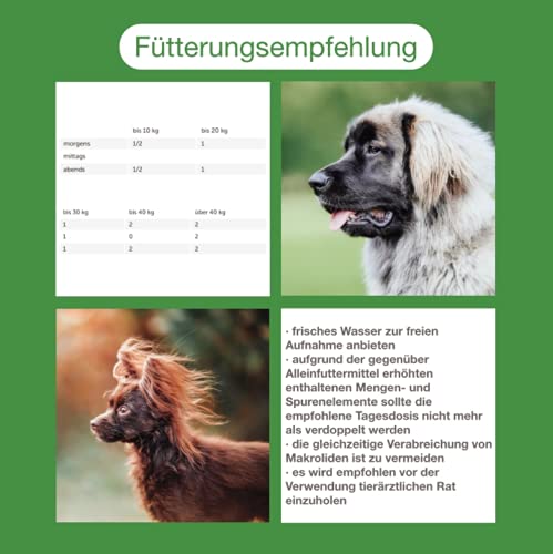 CaniMove enteral akut, bei und nach akuten Durchfällen von Hunden und Katzen sowie bei akuten Resorptionsstörungen, Urlauben, Medikamentengabe oder Stress-Situationen (12 Tabletten a 5 Gramm)