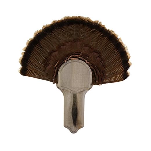 Walnut Hollow Country Deluxe Turkey Display Kit, Solid Pine, Rustic Barn Board Finish (41712)