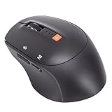 Denash KI-Maus, Integriertes Mikrofon, Bluetooth 5.0, 2,4 GHz, Kabellose Maus mit Spracheingabe in...