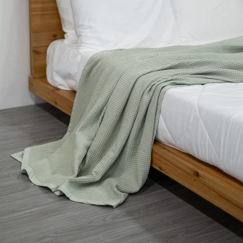 Salt Earth 100% Cotton Throw Blanket 55"X60" Waffle Blanket For Couch, Bed, Sofa, Living Room And Home Decor Lightweight & Comfortable All Season Use Easy To Wash, Nature And Skin Friendly (Sea Foam) #TOP4