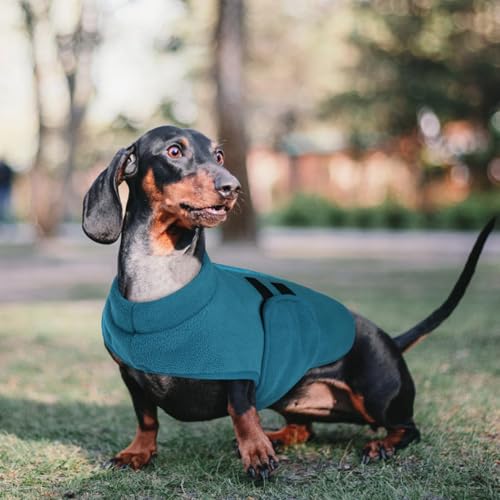 PUZAUKAL Hundepullover Fleece Weste Hundemäntel Winter Warmer Hundeweste für Kleine Hunde Weicher Fleece Hundejacke mit Geschirr Pullover für Mittel Großen Hund Katze-Pfauenblau(M)