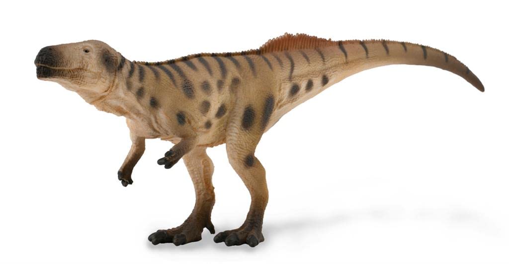Amazon | COLLECTA 恐竜フィギュア メガロサウルス 待ち伏せ