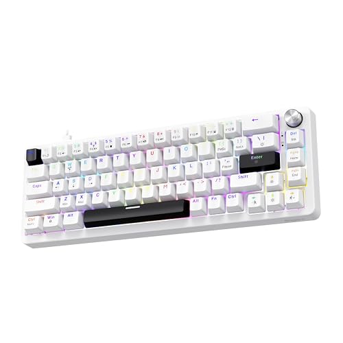 Image of FINGERS Savage-MK2 Wired Mechanical Gaming Keyboard (65% Compact 67 Keys, Hot-Swappable Switches, 2-Layer Gasket, 11 RGB Modes, Volume Control Knob, 100% Anti-Ghosting, 50M Keystrokes) - Crystal White