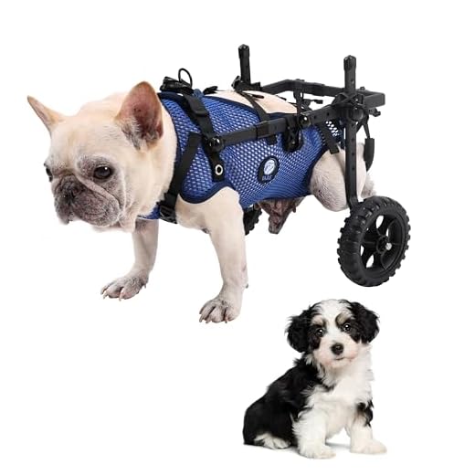 Folding Two-Wheel Dog Wheelchair, Extra Small