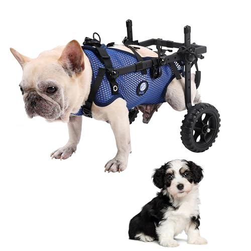 KAJILE Zweirädrige Klappbare Hunde-Rollstühle,Hinterbein-Rollstuhl für Kleine Haustiere,Verstellbarer Hunderollstuhl für Hinterbeine,Blau,XS