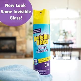 Invisible Glass 91160 Premium Glass Cleaner, 19 fl. oz, 1 Pack (with EZ Grip Can)