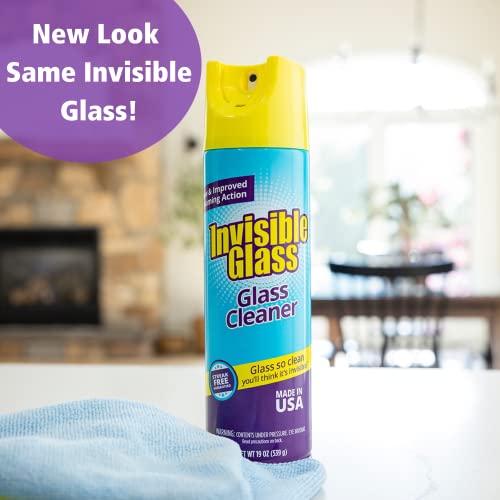 Invisible Glass 91160 Premium Glass Cleaner, 19 fl. oz, 1 Pack (with EZ Grip Can)