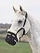 Shires Deluxe Grass Muzzle