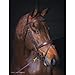 DY'ON Anatomic Bridle, Horse-F/S, Brown