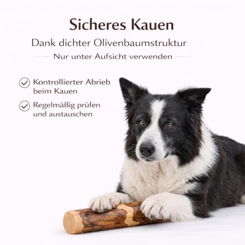 Alp Chew Olivenholz Kauholz für Hunde – Robustes Kauspielzeug zur Zahnpflege, Größe L (250–400 g), 2er Pack