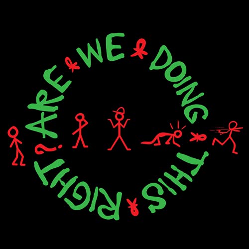 Are We Doing This Right? cover art