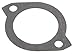 Ishino Thermostat Gasket