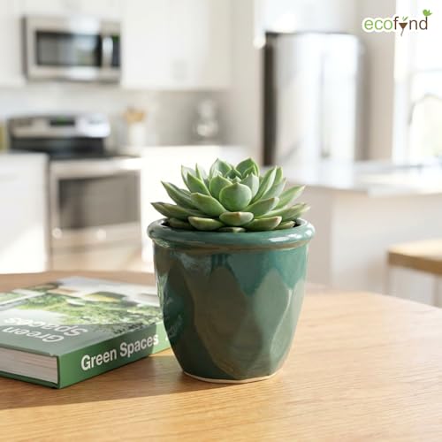 Image of ecofynd 4 Inch Ceramic Plant Pots with Drainage Hole, Modern Decorative Clay Flower Pots for Indoor Plants, Home Garden Decor for Living Room, Bedroom & Interior Spaces (CPOT043-DGN)