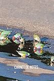 pajaro diamante gould precio  Carnet de notes Diamant de Gould: Carnet de notes  cahier de notes Diamant de Gould  100 pages