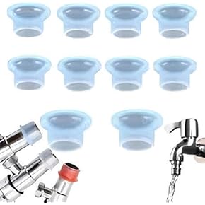 Жыныстық әйелдер