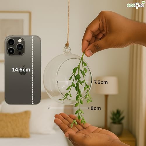 Image of ecofynd Glass Vase for Flowers Plants, Modern Decorative Vase for Home Decor Center Table, Bedroom, Living Room, Office Decoration, Wedding or Gifts (GVASE001)