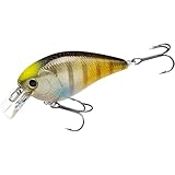 ラッキークラフト(LUCKY CRAFT)LC 1.5サイレント (175 フレークフレークカブキギル)