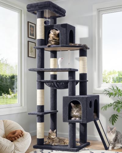 Image of Globlazer Heavy Duty Cat Tree, 70 inch Sturdy Cat Tree for Indoor Cats Extra Large Cat Tower with Scratching Post, Hammock, Cat Condo for Adult Cats Kittens, F70 Pro, Dark Grey