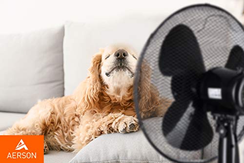 Foto von TRESKO AERSON Standventilator 40cm | Ventilator höhenverstellbar bis 120cm | hoher Luftdurchsatz und sehr leise | Windmaschine mit 3 Geschwindigkeitsstufen | Oszillationsfunktion ca. 80° (Schwarz)