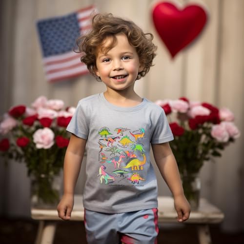 Image of T Shirts for Boys Toddler Girls Dino Types of Dinosaurs Kids Retro Tshirt Kids Summer Tee Tops 2-7 Years