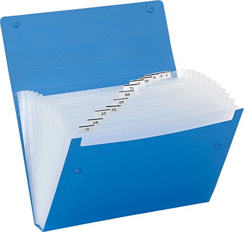 キングジム ドキュメントファイル 2274-BK