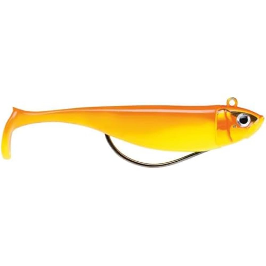 Biscay SHAD 12-31G CCA, Multiclolor