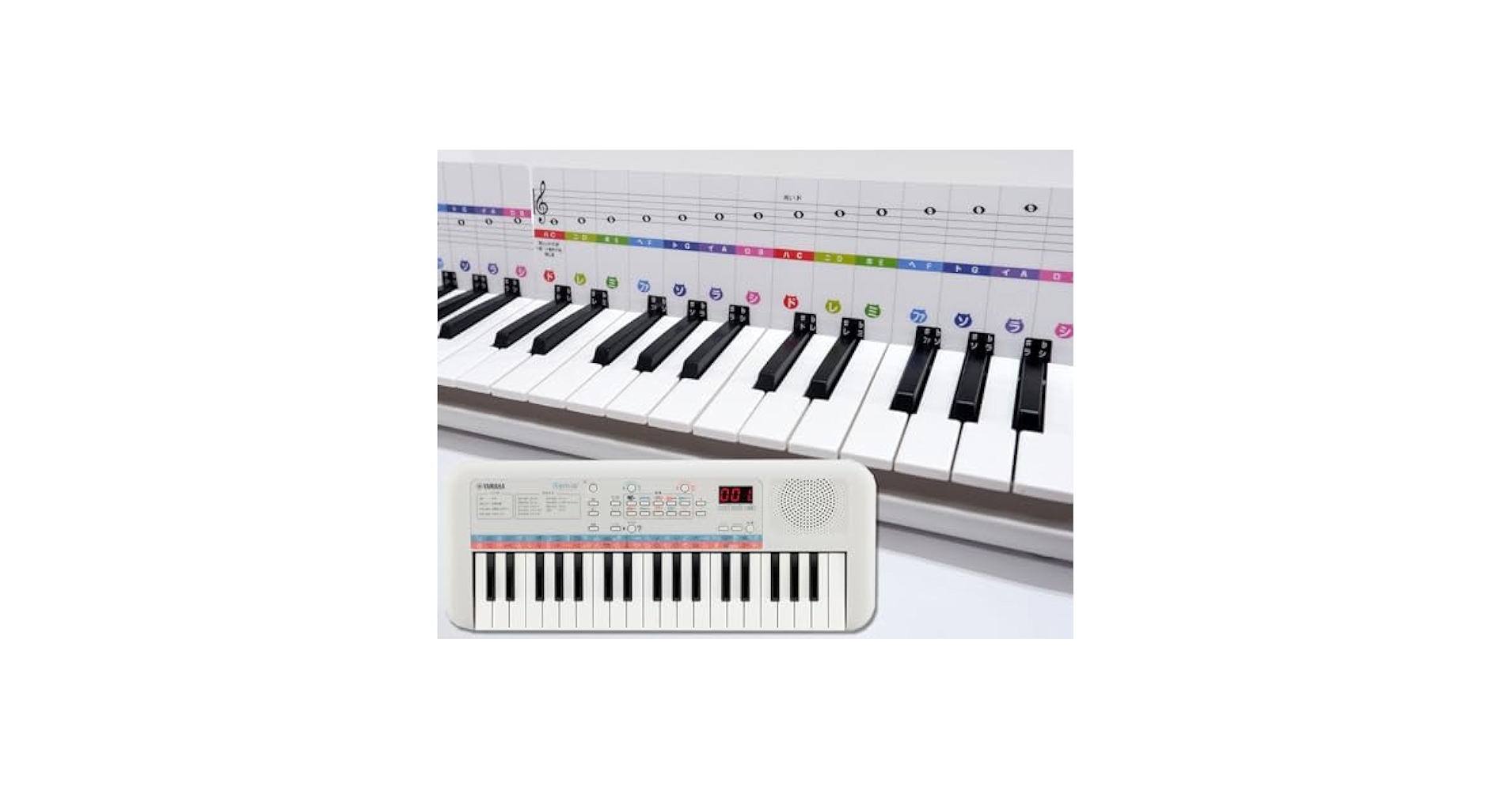 Amazon.co.jp: YAMAHA Remie(レミィ)専用鍵盤カード 鍵盤カード