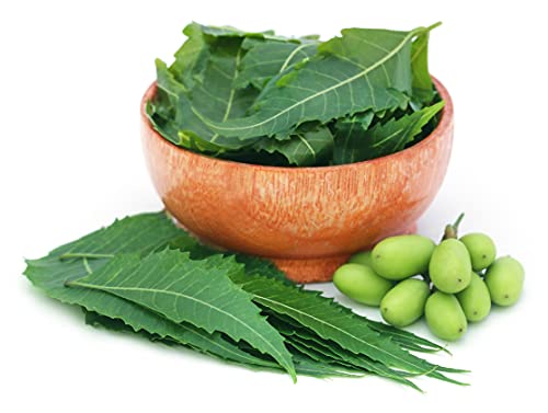 Go Nutra Neem Powder Organic 1 Lb. | India Neem | Neem Powder | Neem Powder For Hair Face Skin Teeth | Azadirachta Indica #TOP4