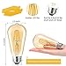 Brightown 6 Pack LED Edison Bulbs, 6W, Equivalent 60W, High Bright 5000K White,750 Lumens, Non-Dimmable, E26 Medium Base ST58 Antique Filament Bulbs with 83+ CRI for Ceiling Fan Bathroom Porch