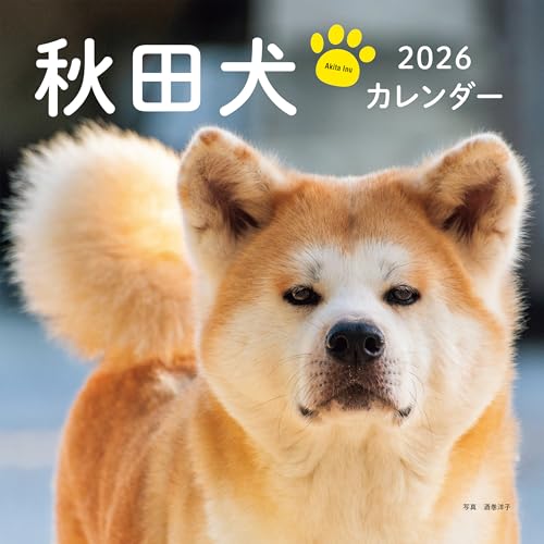 ALLÉE DES CYGNES : いつものパリ
